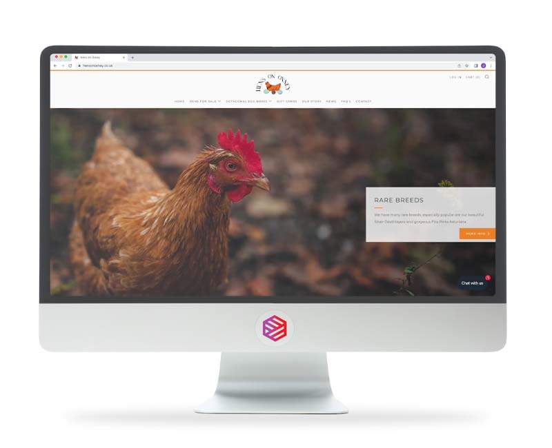 Shopify Ecommerce website design portfolio preview Brighton Sussex